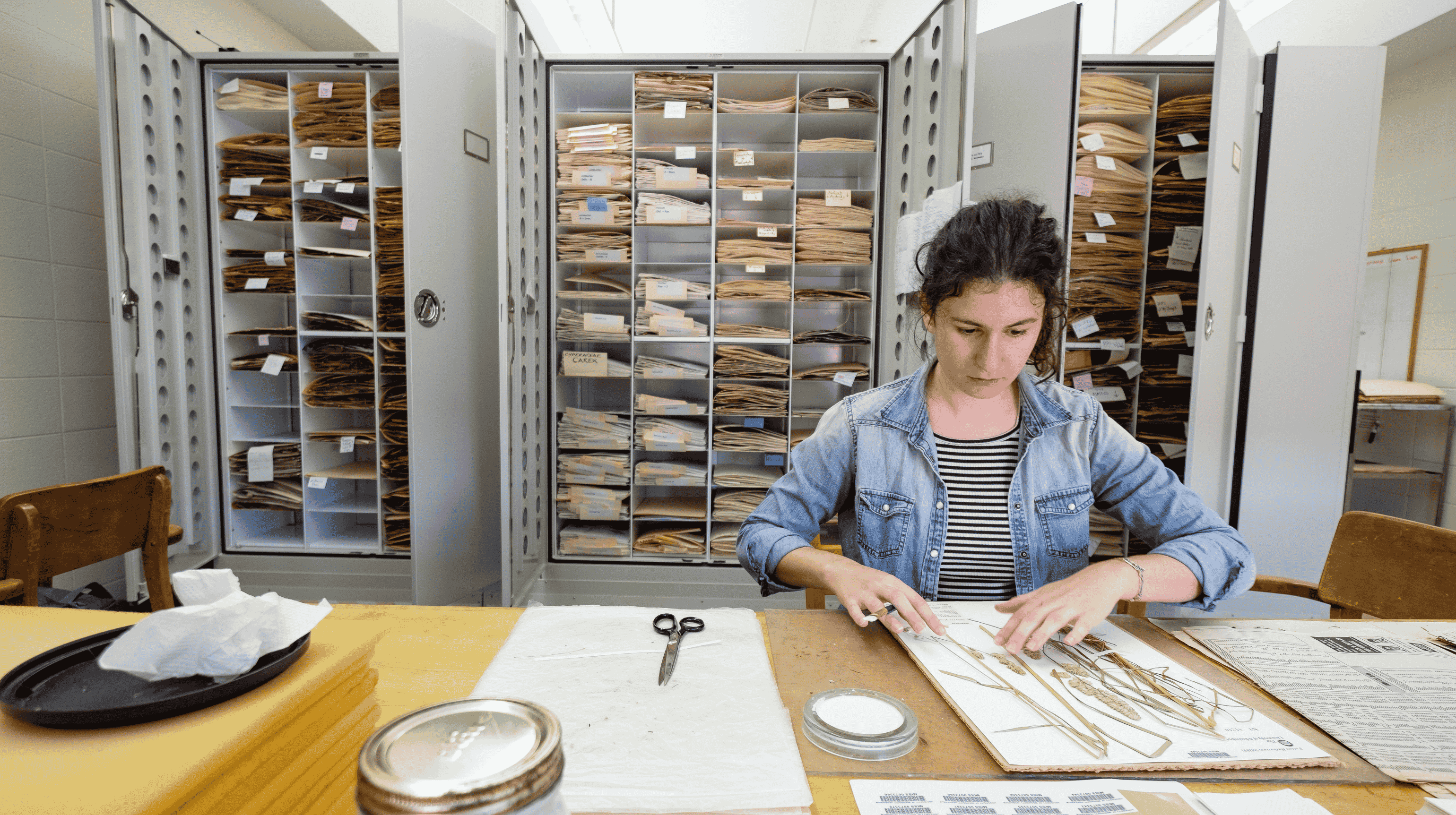 Scientist inspects sample